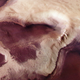 Detailed view of the ‘heart.’